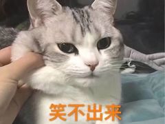 -1点点(中山门大街店)