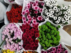 -昆明国际花卉拍卖交易中心