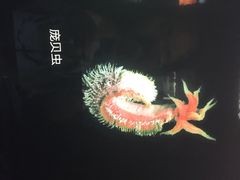 深海探索馆-同济大学四平路校区深海探索馆