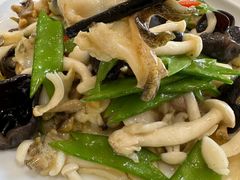 爆炒海螺片-北戴河转鱼·炒螃蟹酱餐厅