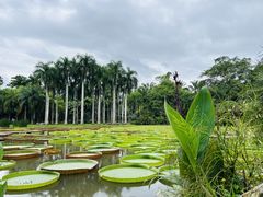 -中国科学院西双版纳热带植物园
