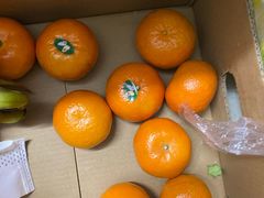 -南京众彩农副产品配送有限公司