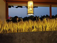 -粤·向群饭店(二沙岛店)