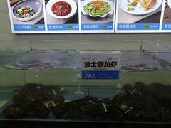 -欢乐海岸美食联盟