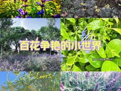 -月亮湾湿地公园