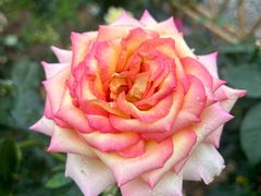 -海心沙亚运公园