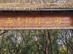 -西青郊野公园