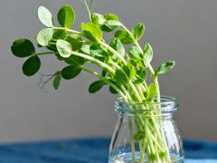 -闪电修企业手机电脑回收(西湖风景名胜区店)