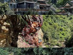 -南海湾森林生态园