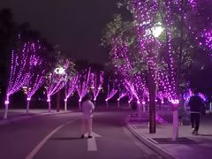 -眉山湿地公园(东坡区)