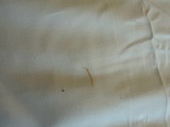 -南京新街口桔子水晶酒店