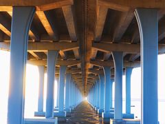 -宝安西湾红树林湿地公园