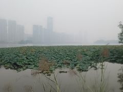 -梅溪湖城市岛