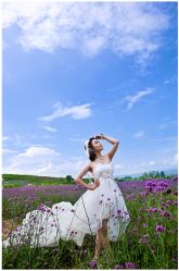 天蓝蓝，美丽的薰衣草……-唯一视觉婚纱摄影(李家村店)