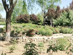 -石家庄市植物园