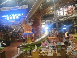 -卡通尼·Safari非洲探索乐园·生日会(金桥国际商业广场店)