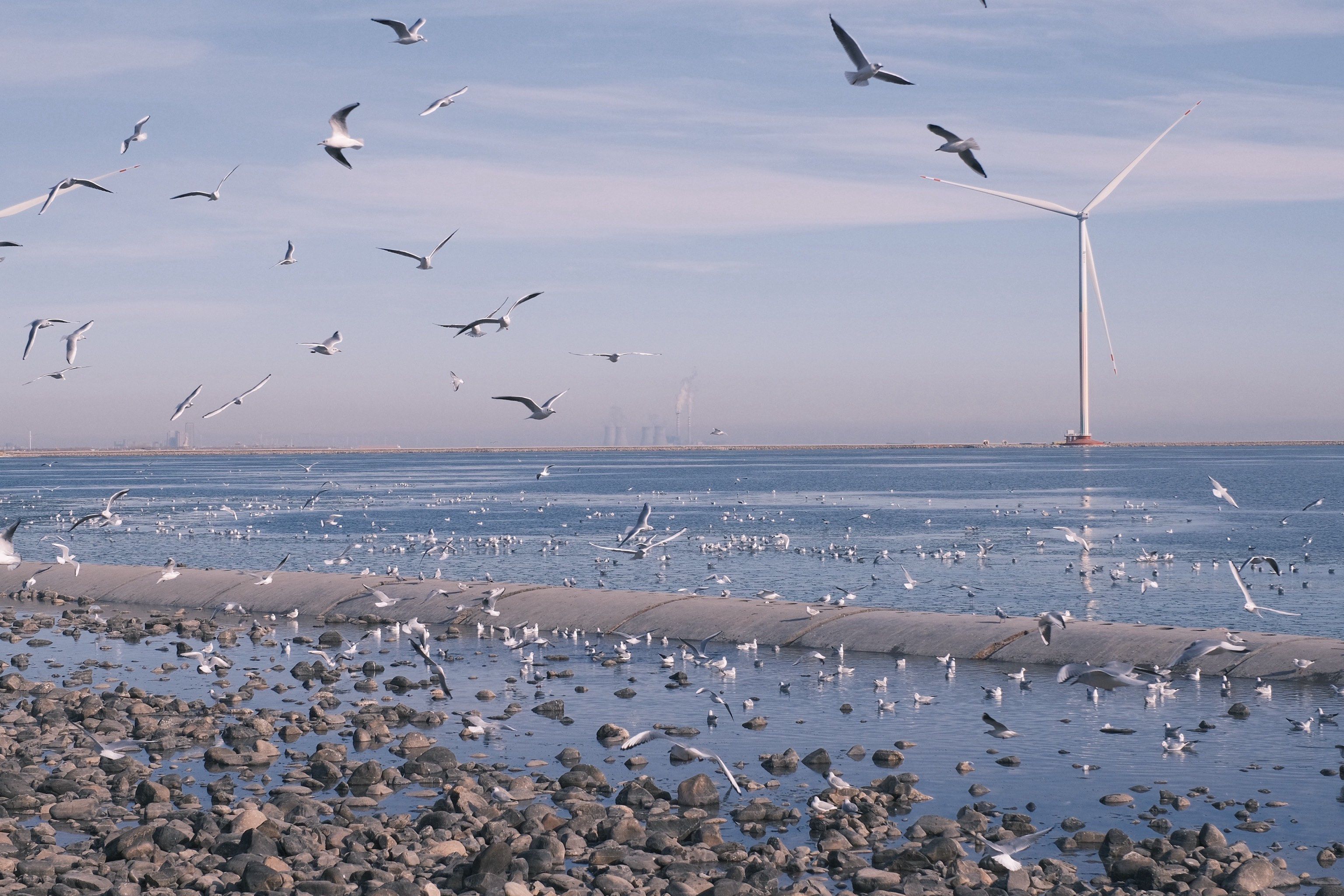 东疆港天气在线 东疆港天气在线
