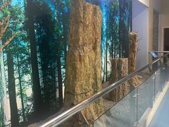 -延庆地质公园博物馆