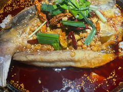 -肥家大排档(天河体育西店)