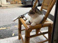 -铜瓢江湖兔火锅(水碾河社区店)