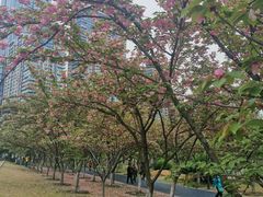 -西北湖绿化广场