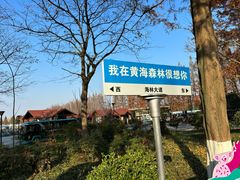 -黄海国家森林公园