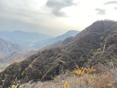 -大岭沟猕猴桃谷风景区