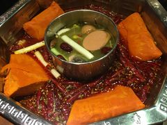 -蜀九香火锅(九眼桥店)