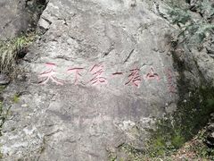 -王顺山国家森林公园