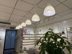-刺鸟眼镜(黄岛直营店)