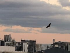 -福冈国际邮轮码头