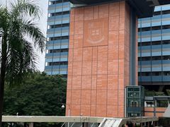 -香港大学