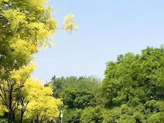 -南翠屏公园