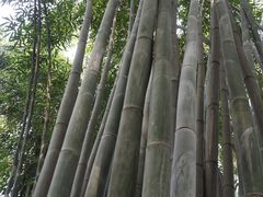 -成都杜甫草堂博物馆