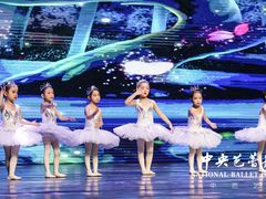 -中央芭蕾舞团·中芭艺蕾(酒仙桥明星校区)