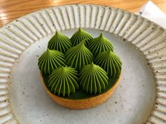 抹茶挞-猫里有甜