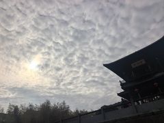 -大唐贡茶院