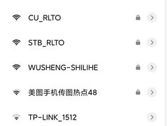 -魏家凉皮(十里河店)