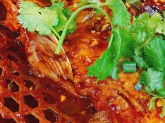 -大家乐东北菜(富河园店)