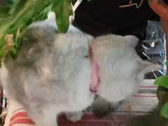 -小时光咖啡馆(北锣鼓巷店)