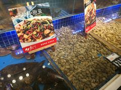 水产区-必点海鲜·鲅鱼水饺(鞍山西道店)