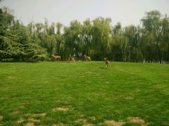 -银树楼(紫玉山庄东区店)