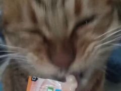 -宠颐生中康贝怡动物医院