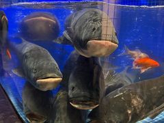 -味钱塘·钱塘浙宴(宋城之江银泰店)