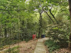 -上海佘山国家森林公园天马山园