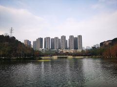 -重庆彩云湖湿地公园