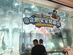 -帝企鹅自助餐厅•儿童岛•真企鹅(长隆企鹅酒店)