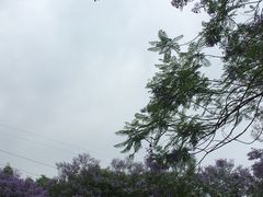 -重庆彩云湖湿地公园