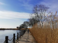-野鸭湖国家湿地公园