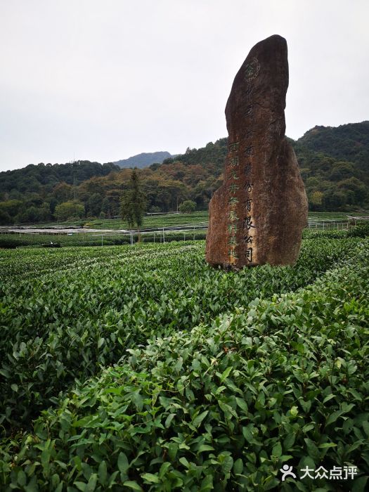 听风阁农家私房菜茶楼(龙坞店)图片